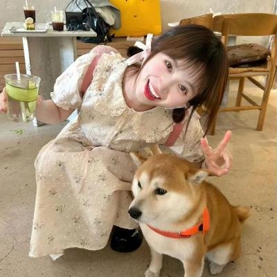 战火中的小狐狸