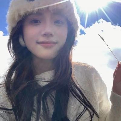 侠盗正传